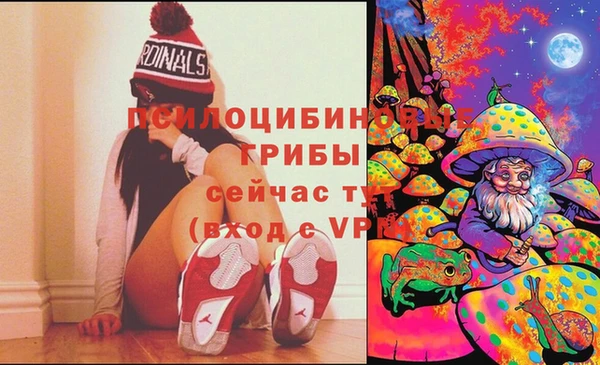 дурь Абаза